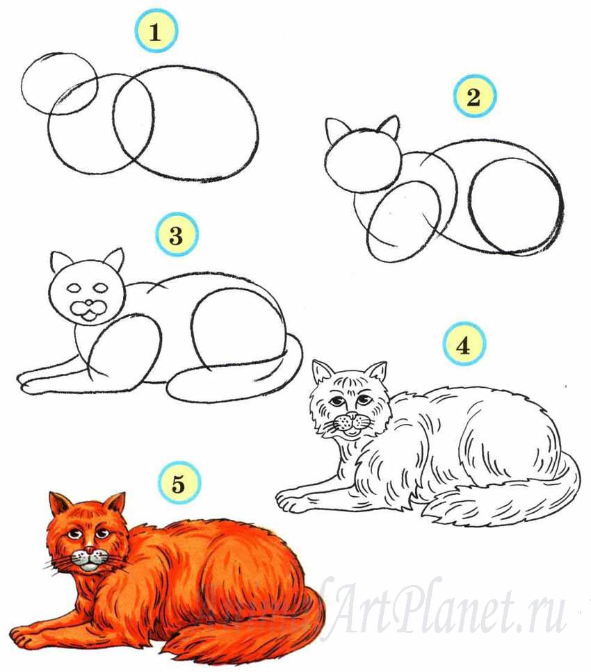 Как нарисовать кошку для 11 лет Как нарисовать кошку для 11 лет